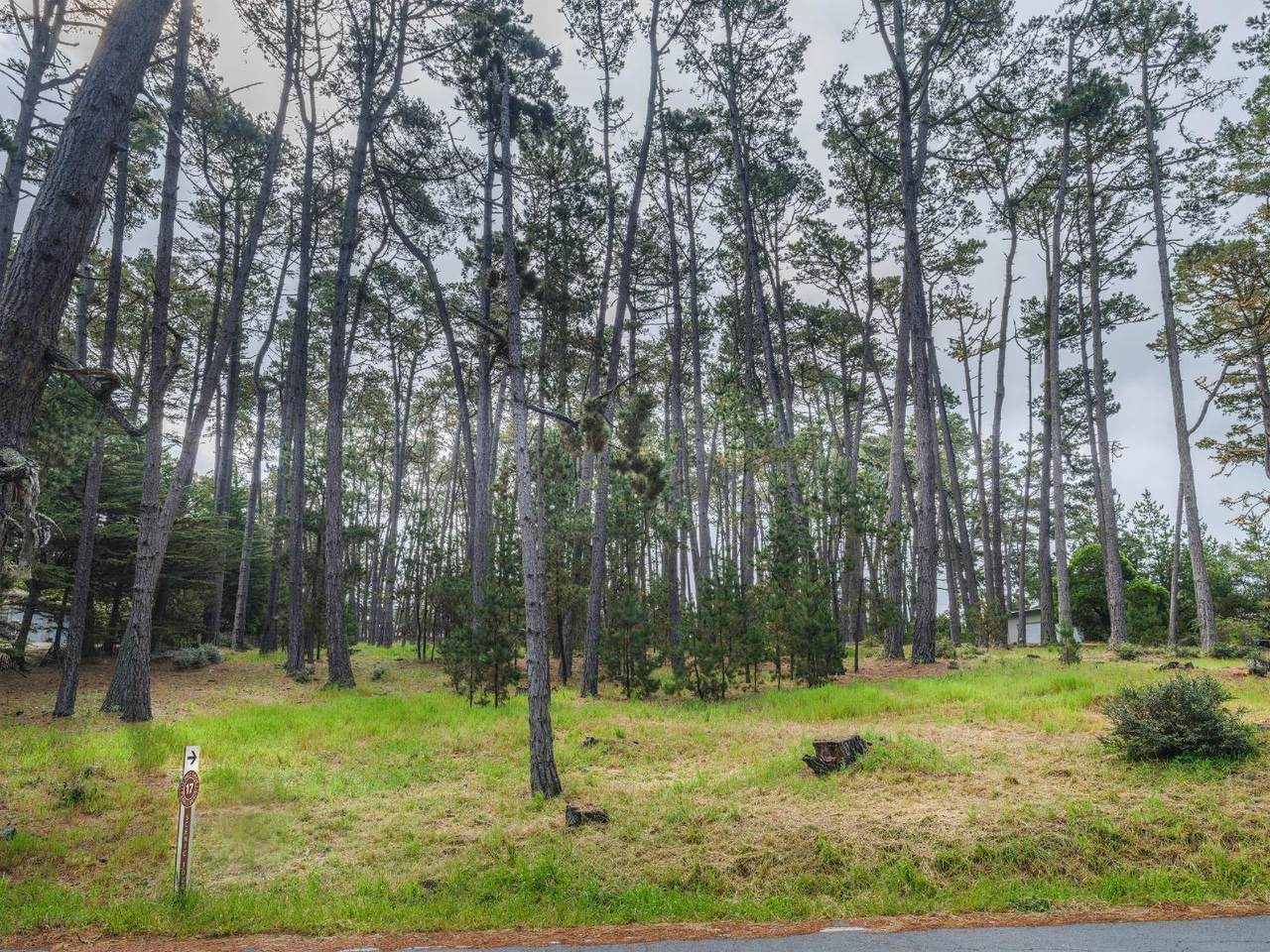 4019 Sunridge Rd - Photo 1
