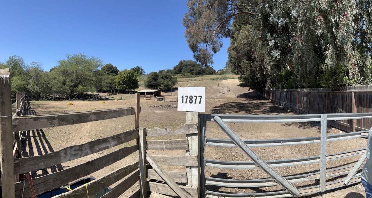 17877 Cross Rd - Photo 1