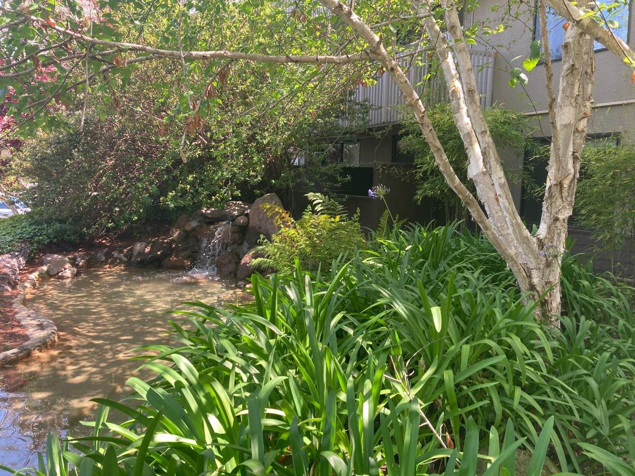4123 Shelter Creek Ln - Photo 1
