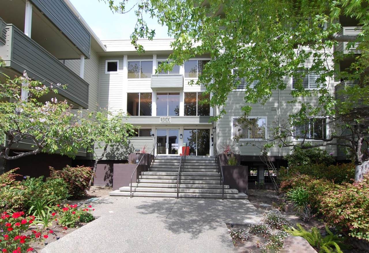 300 Murchison Dr 203 - Photo 1