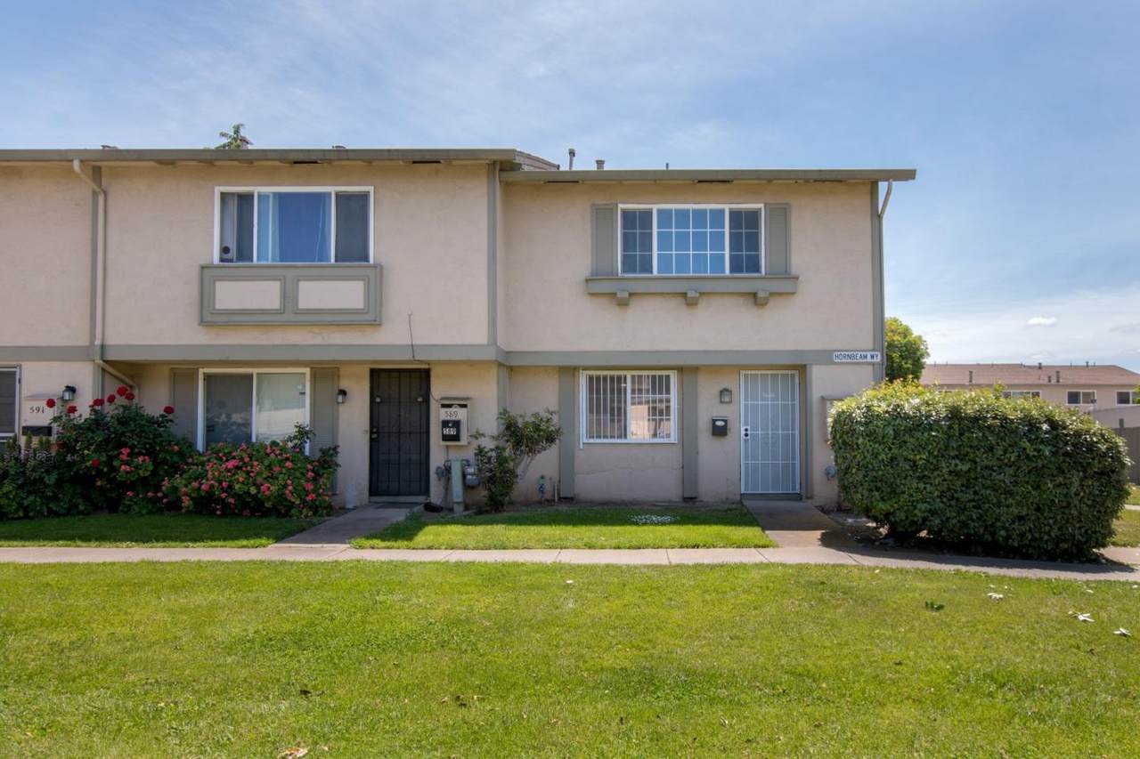 587 Hornbeam Way - Photo 1
