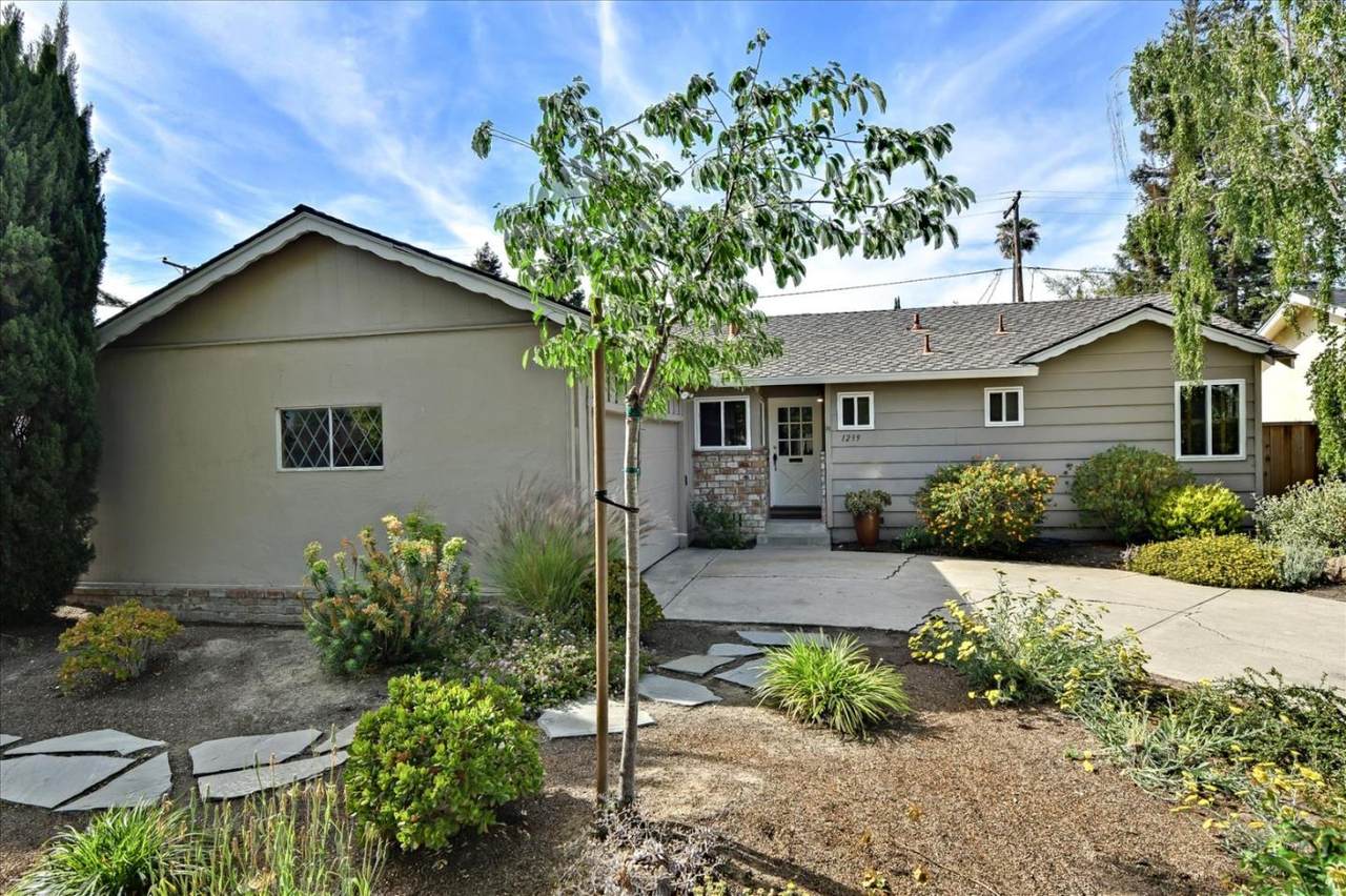 1239 Hillsdale Ave - Photo 1