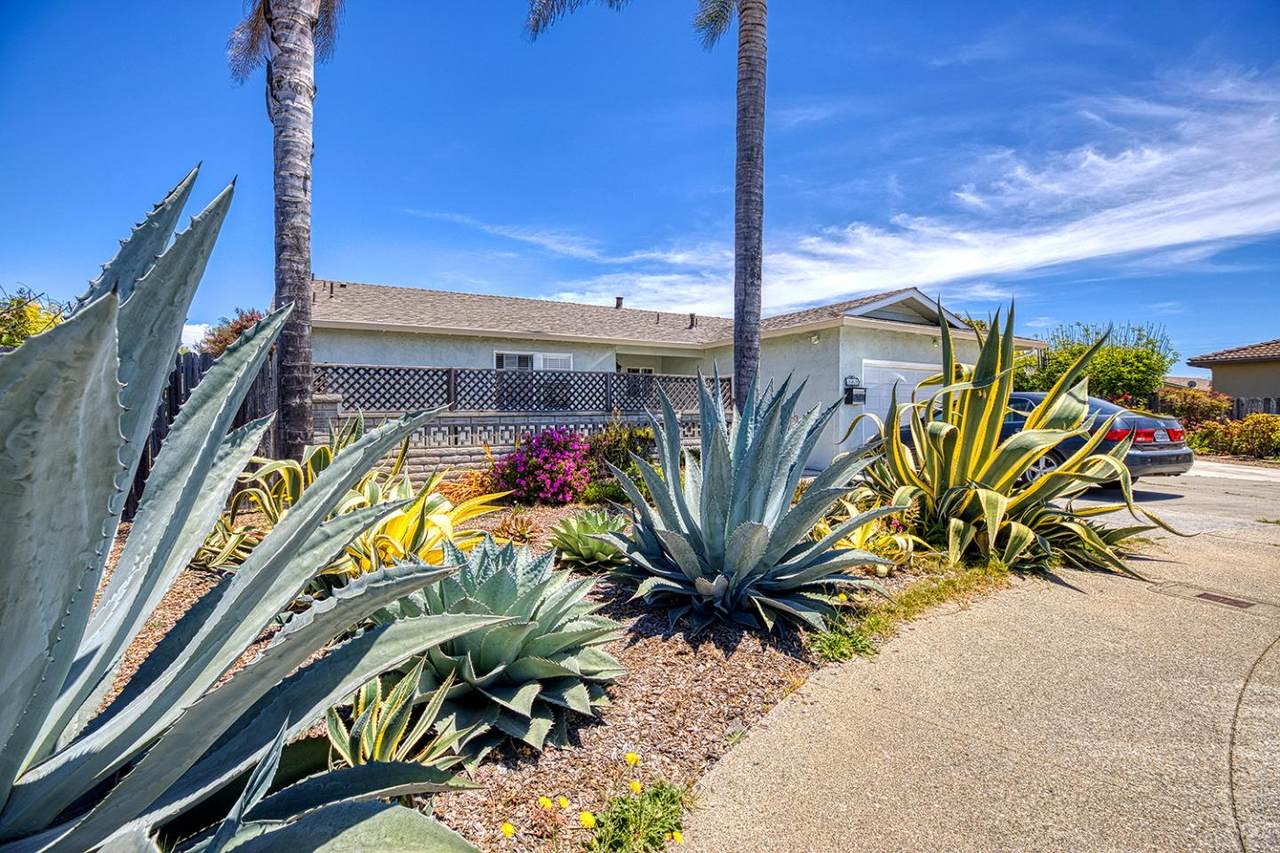 145 Fuchsia Ct - Photo 1