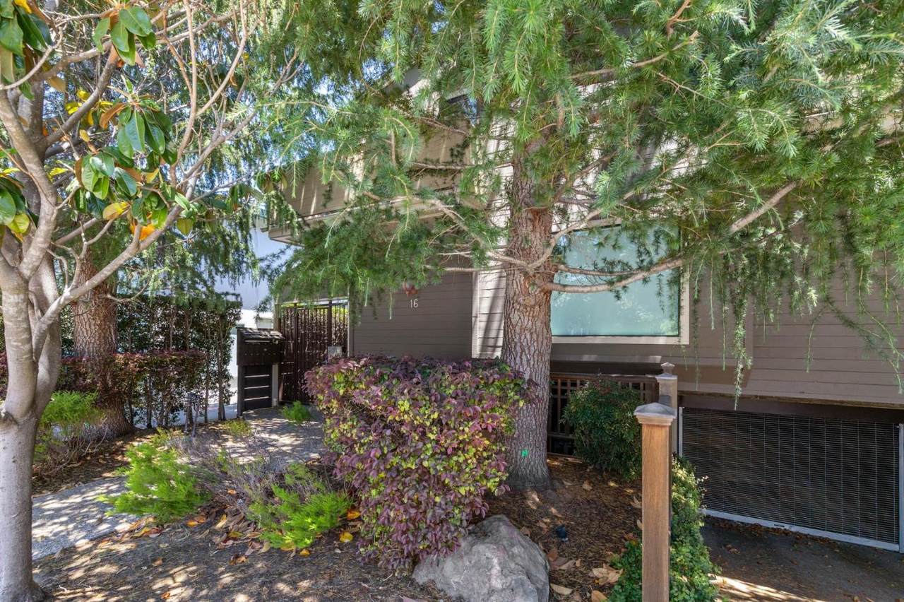 16 Lorton Ave 3 - Photo 1