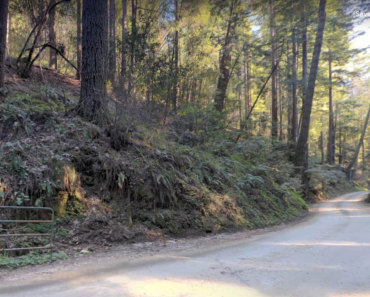 000 Love Creek Rd - Photo 1