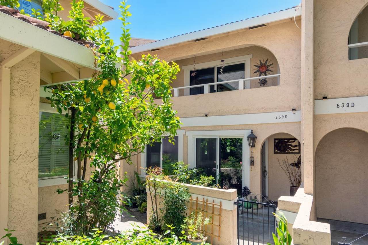 539 Giuffrida Ave - Photo 1