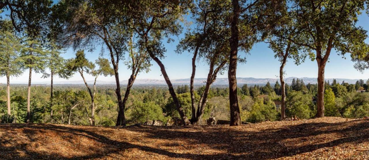 15400 Madrone Hill Rd - Photo 1