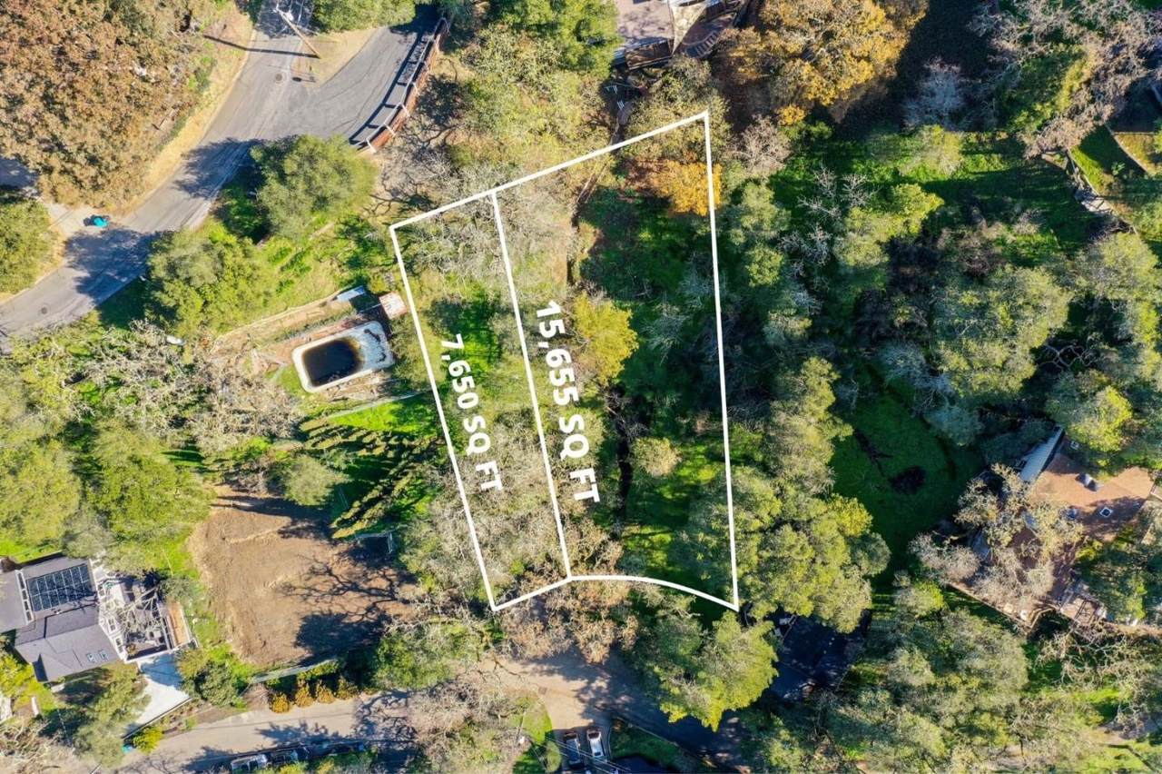 263 Ferndale Way - Photo 1