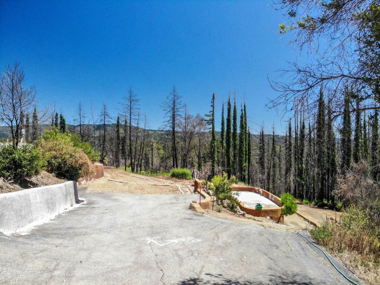 1390 Pinecrest Dr - Photo 1