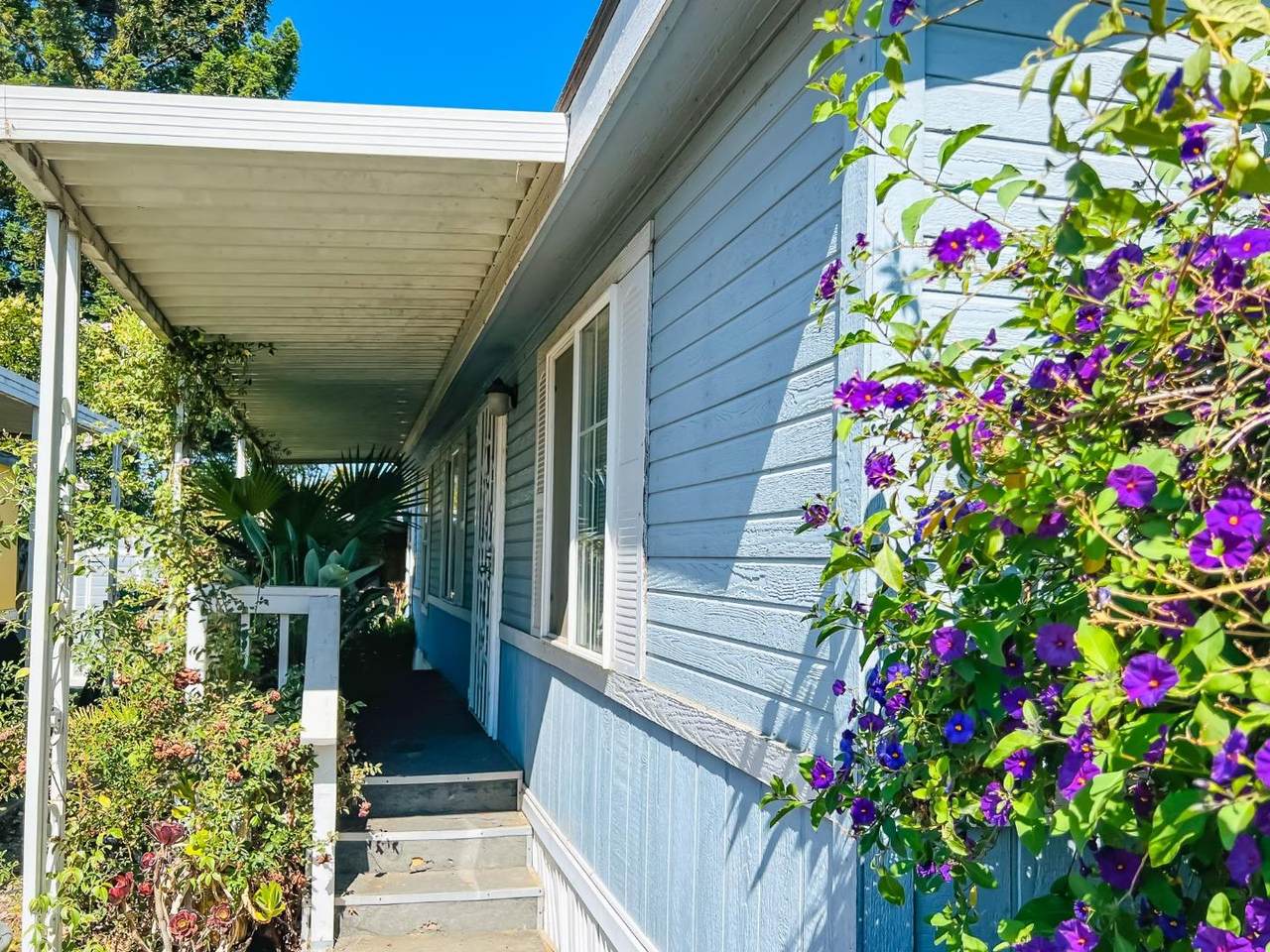 2900 Fairview Rd 55 - Photo 1