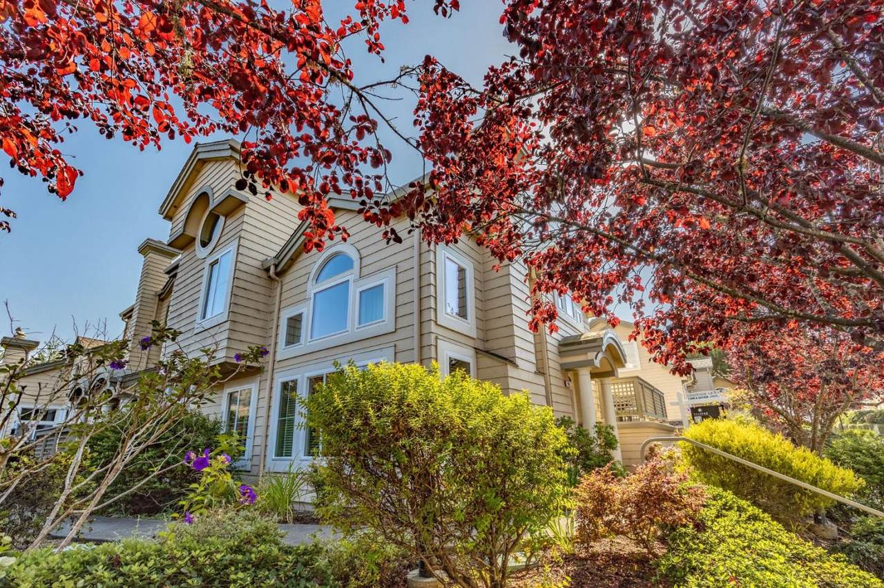 61 Patrick Way - Photo 1