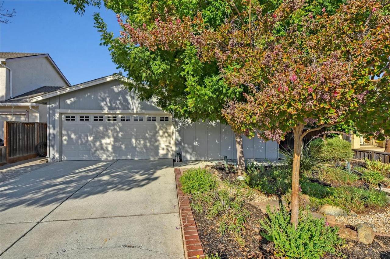 3245 Janelle Dr - Photo 1