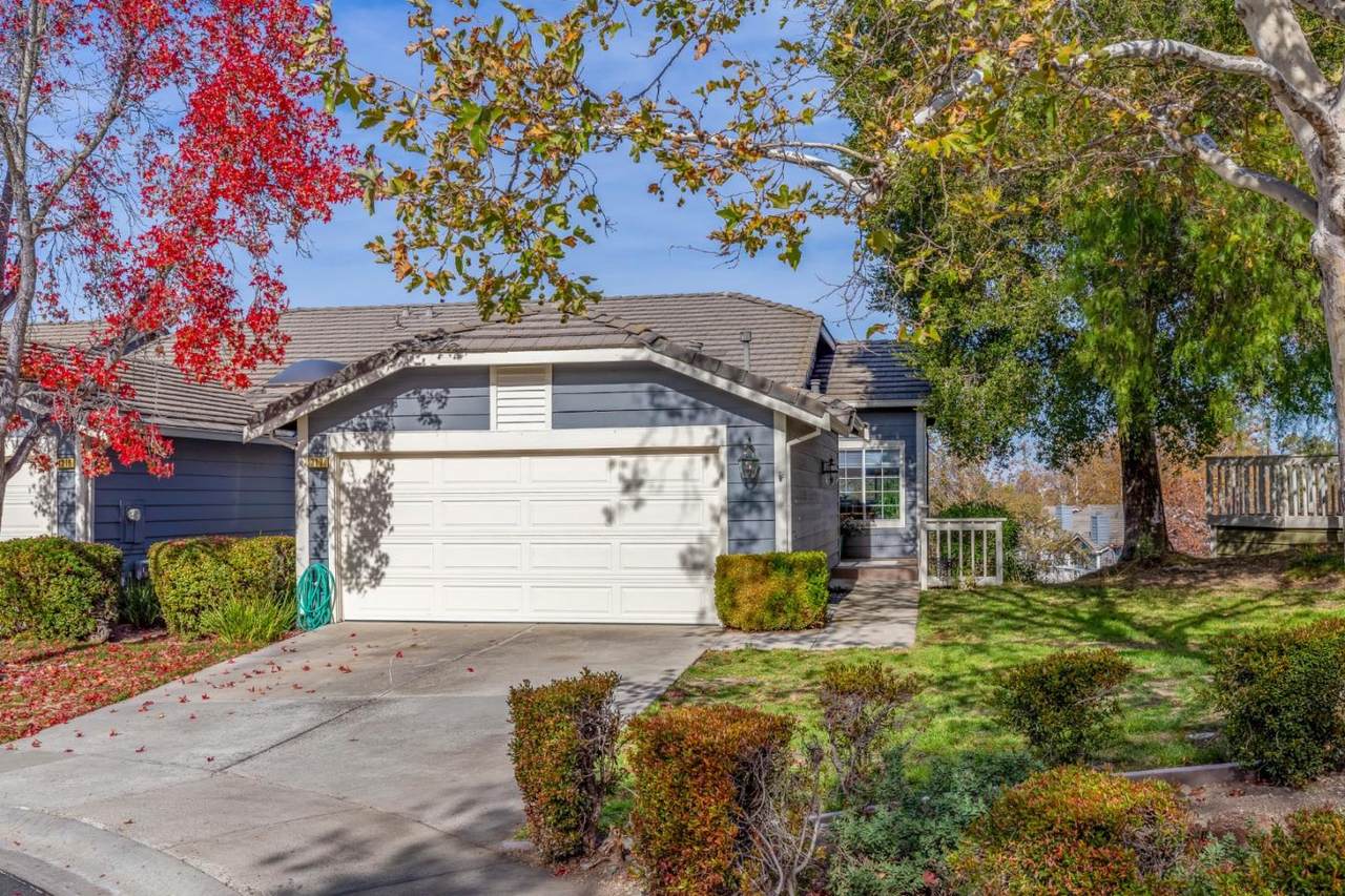 1317 Copper Peak Ln - Photo 1