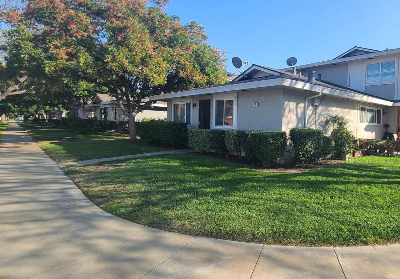 238 Coy Dr 1 - Photo 1