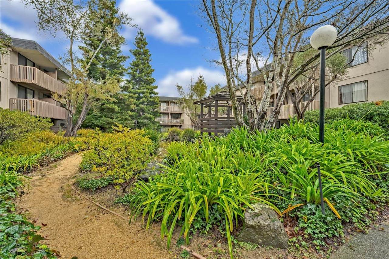 3150 Shelter Creek Ln - Photo 1