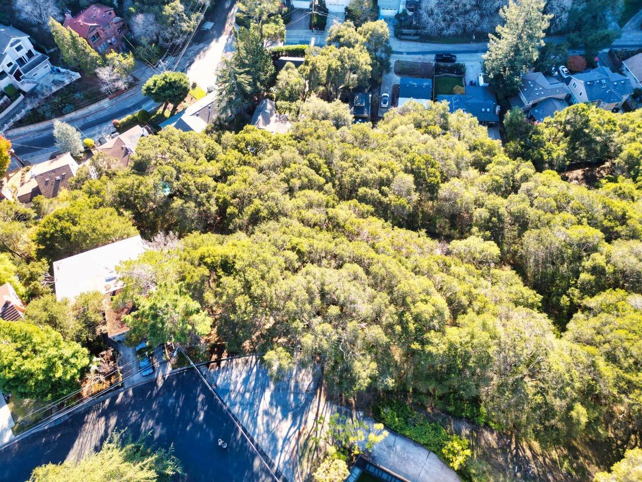 0 San Ardo Way - Photo 1