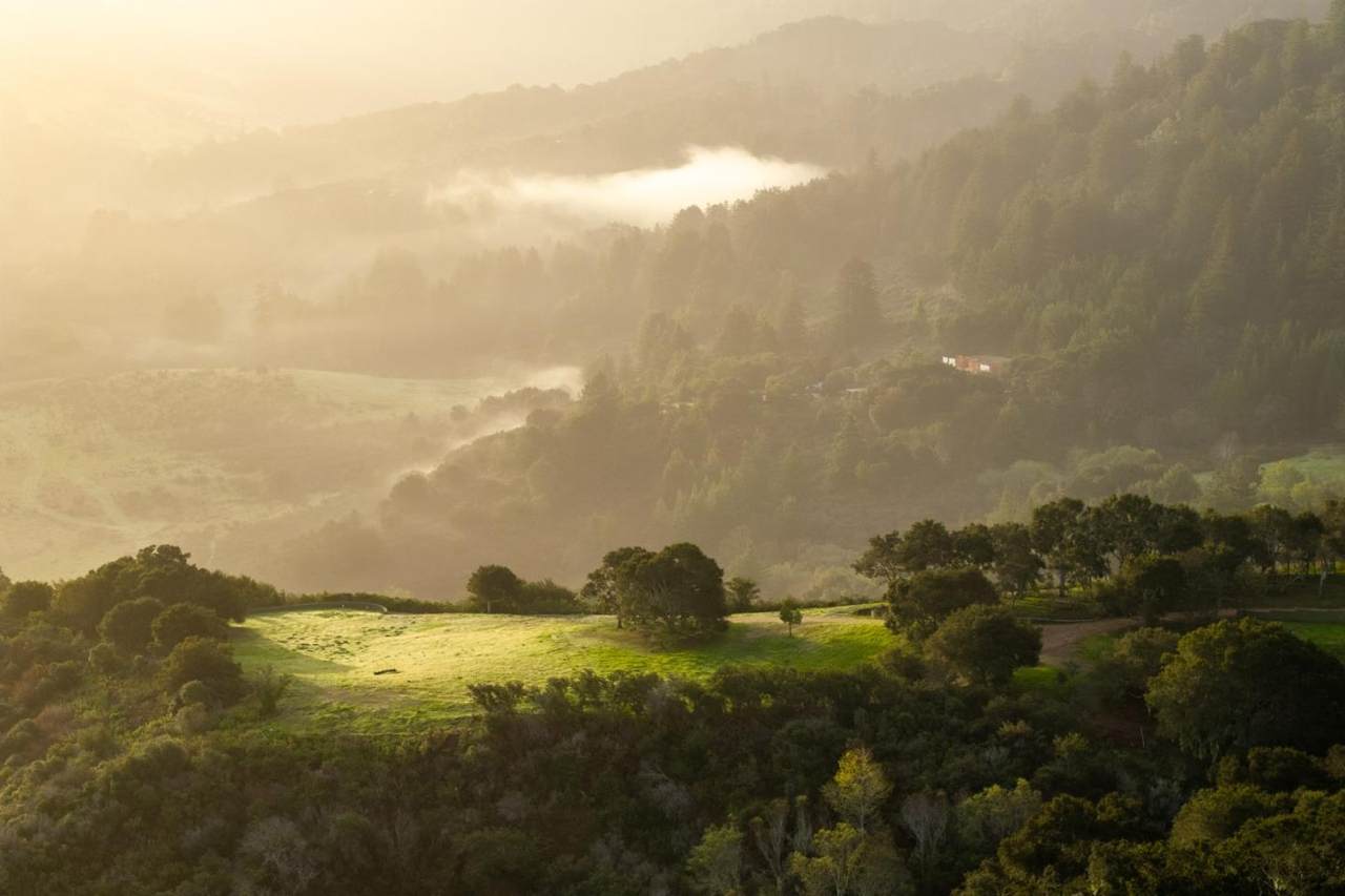 17 Rancho San Carlos Road (Lot 4) - Photo 1