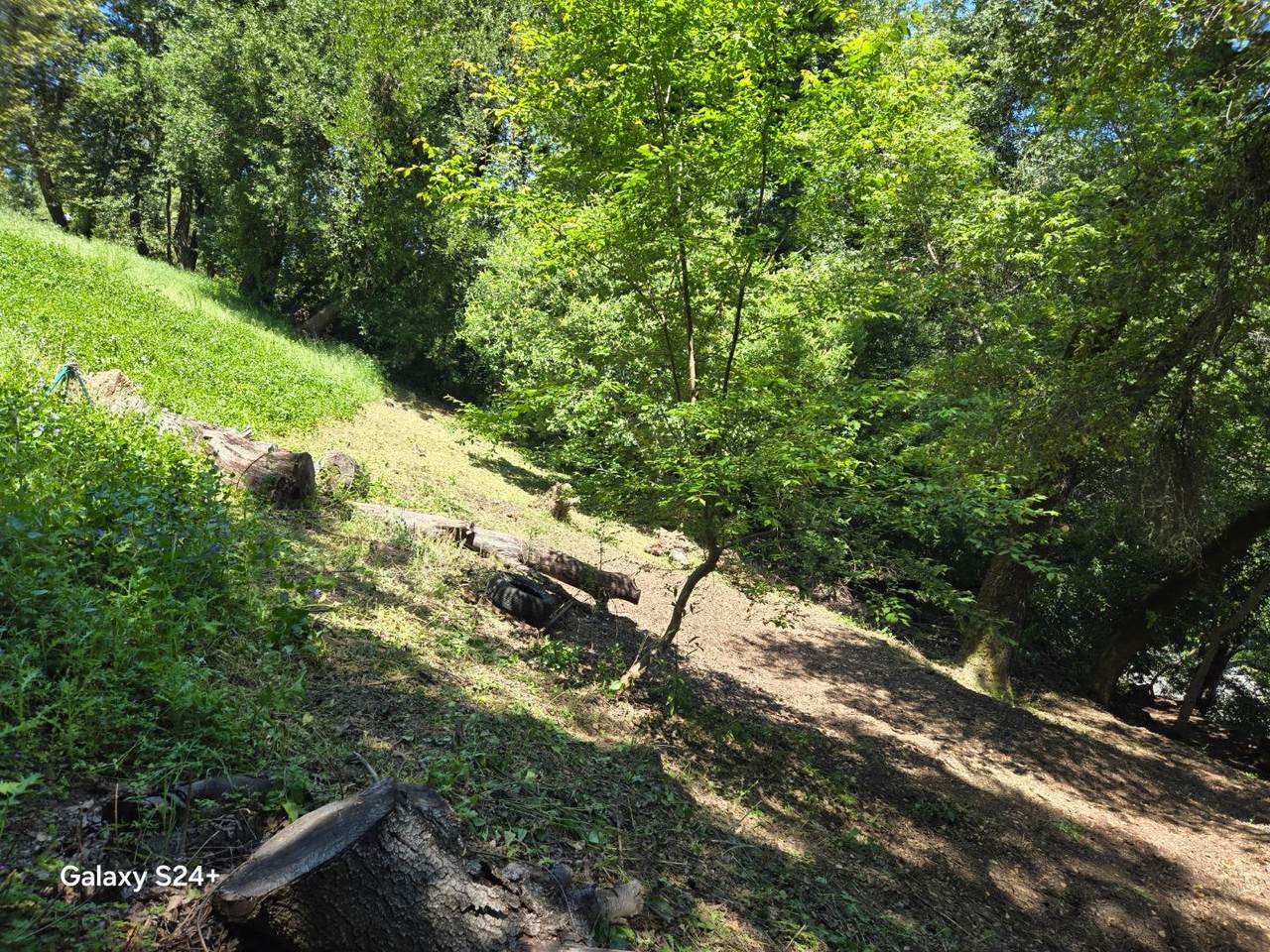 00 Oldsantacruzhwy - Photo 1