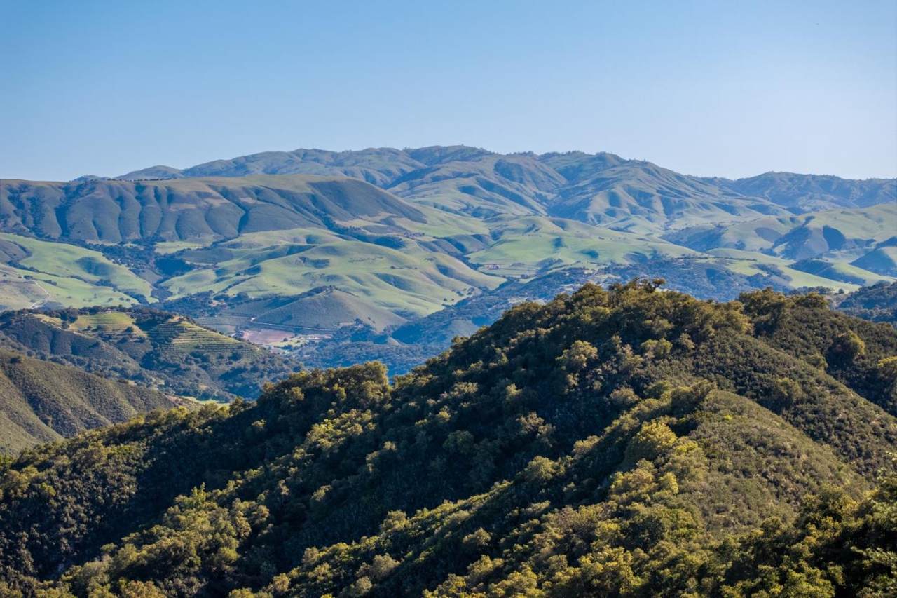 7 Long Ridge Trail (Lot 228) - Photo 1