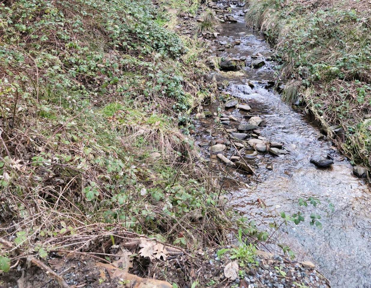 3179 Independence Rd - Photo 1