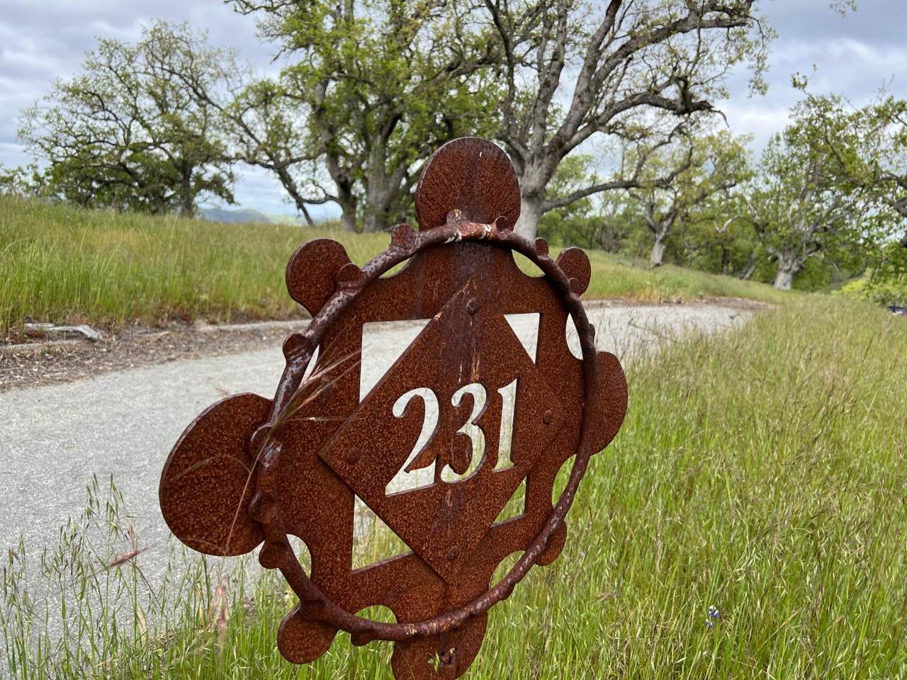 13 Long Ridge Trl - Photo 1