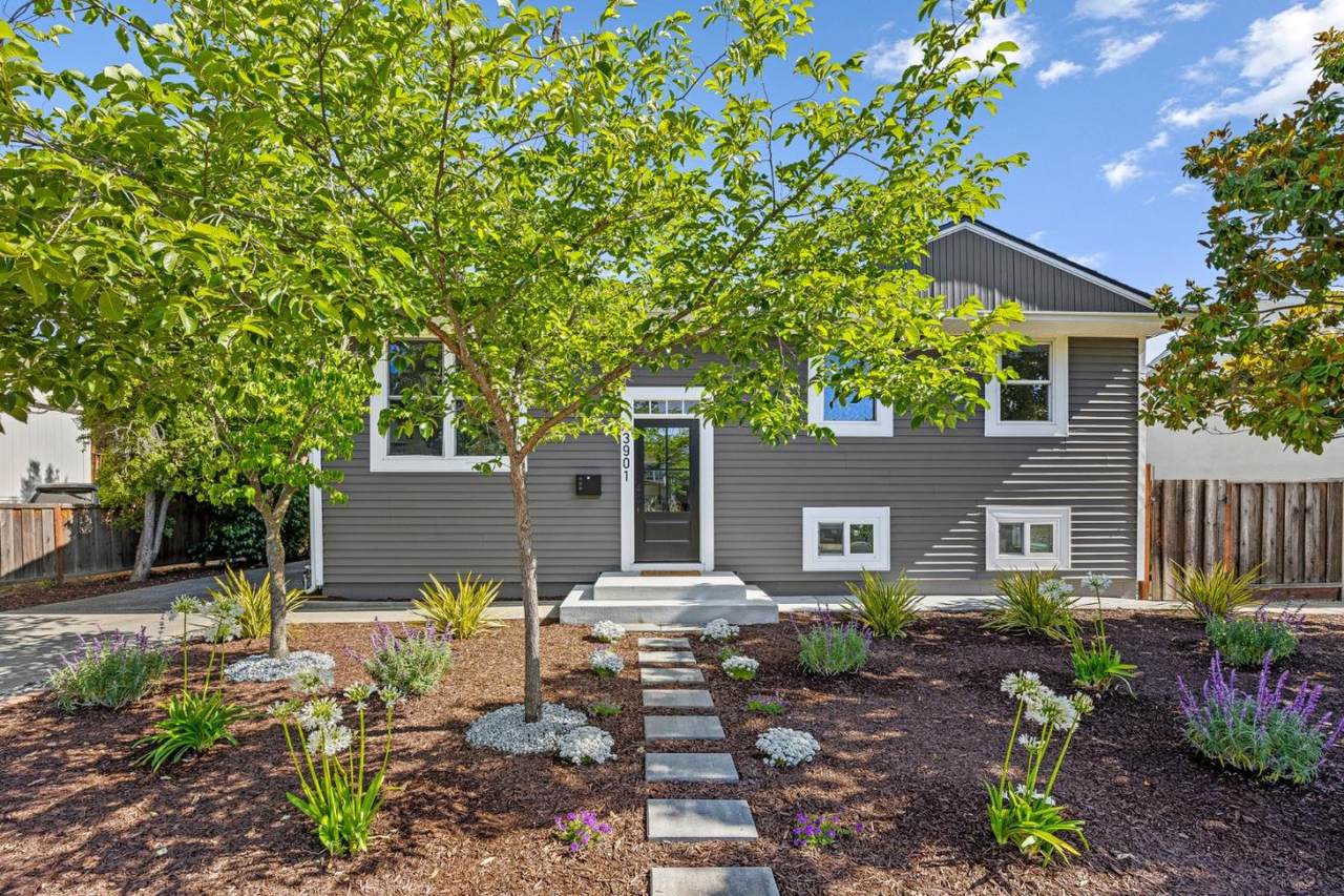 3901 Bucknall Rd - Photo 1