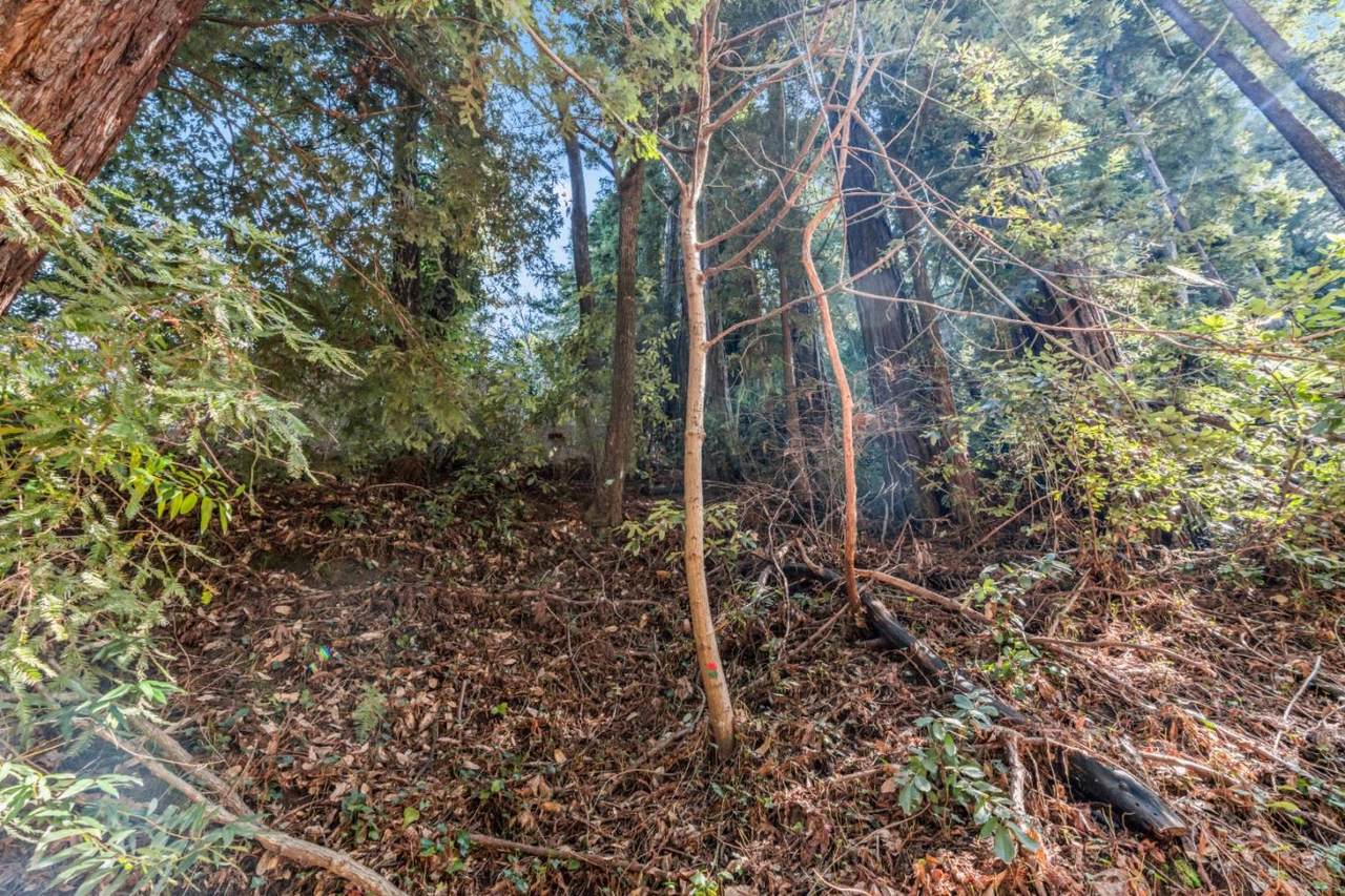 Lot 28 La Lena St - Photo 1