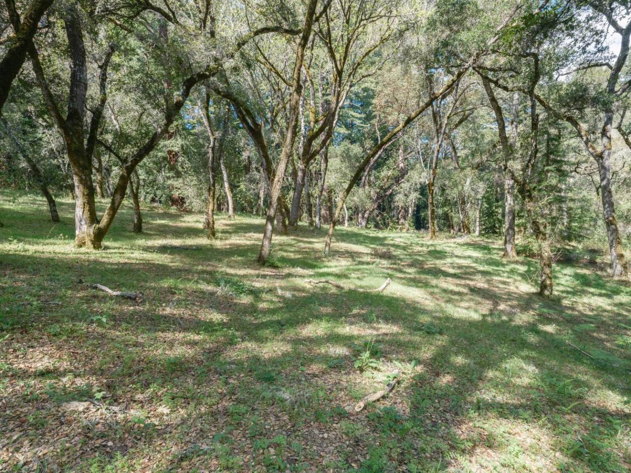 35000 Robinson Canyon Rd - Photo 1