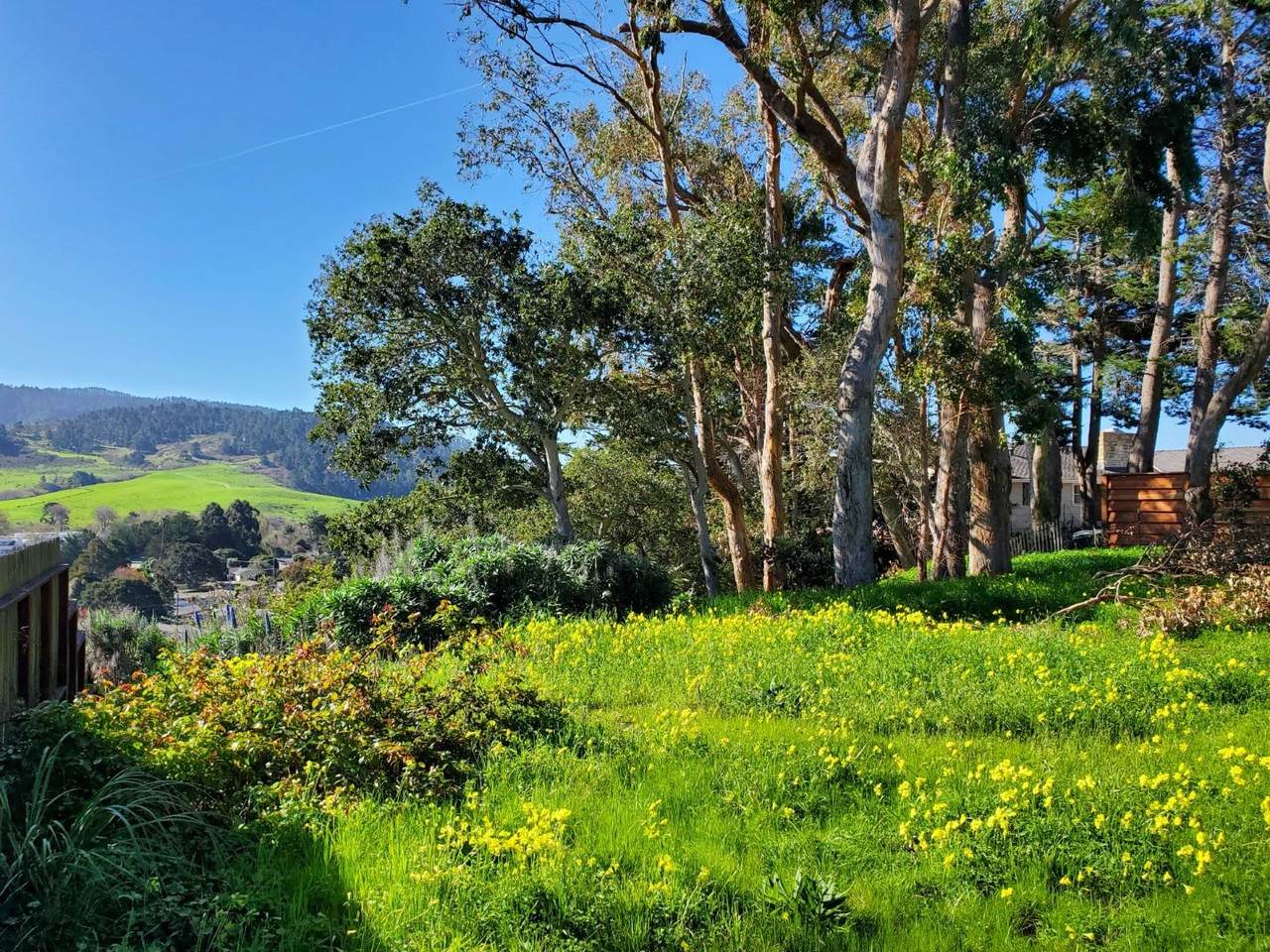 3528 Lazarro Dr - Photo 1