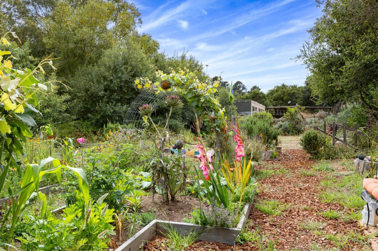 122 Strawberry Canyon Rd - Photo 1