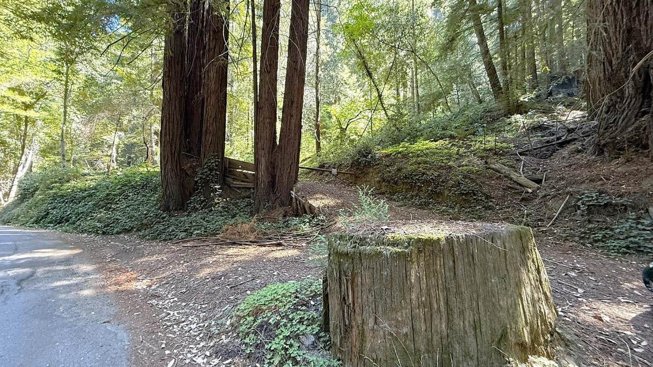 15645 Stetson Rd - Photo 1