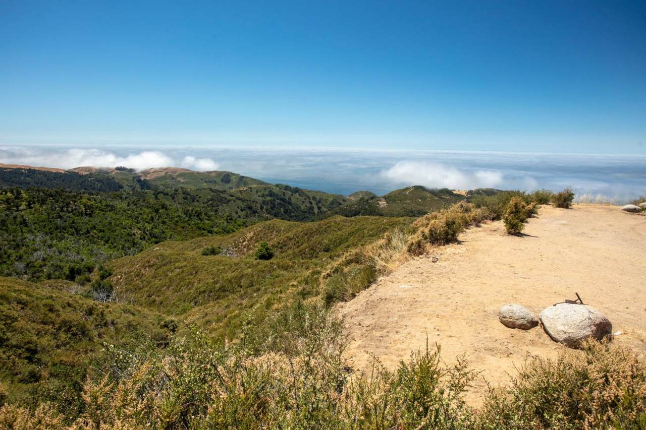 38805 Palo Colorado Road - Photo 1