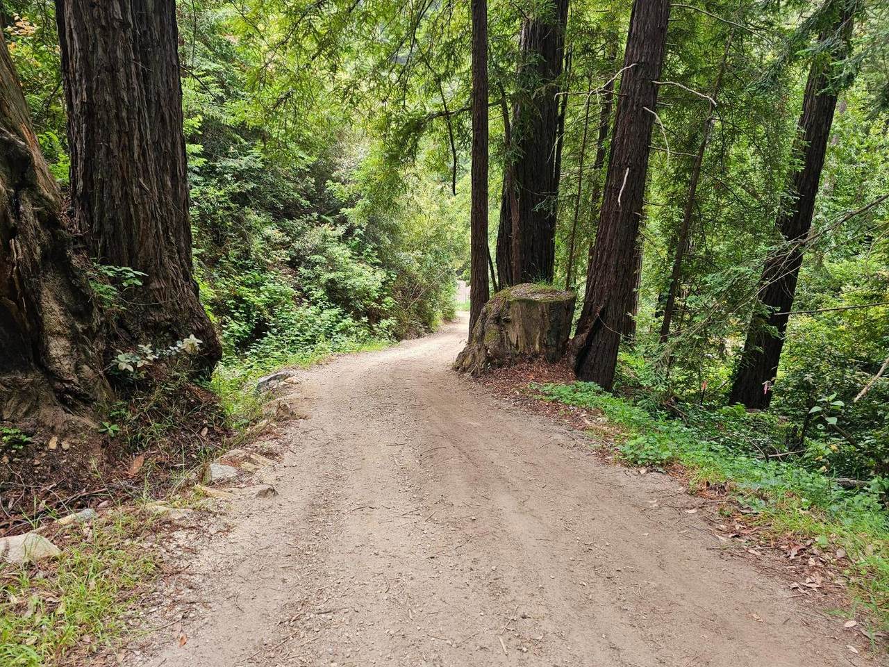 0 Garrapatos Redwood Trail - Photo 1