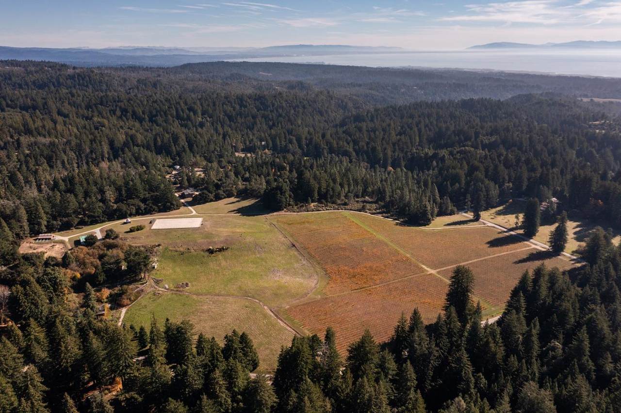 3980 Bonny Doon Rd - Photo 1