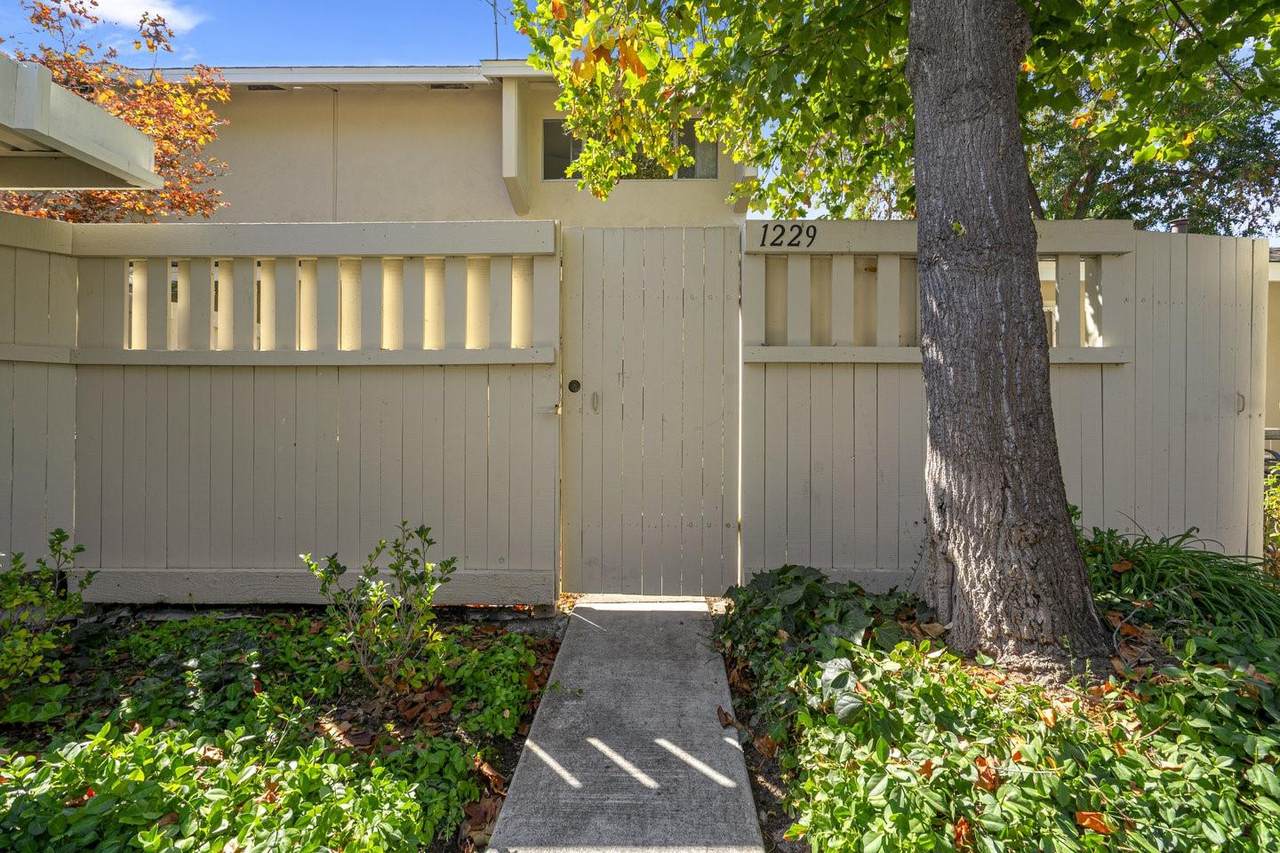 1229 Picasso Dr - Photo 1