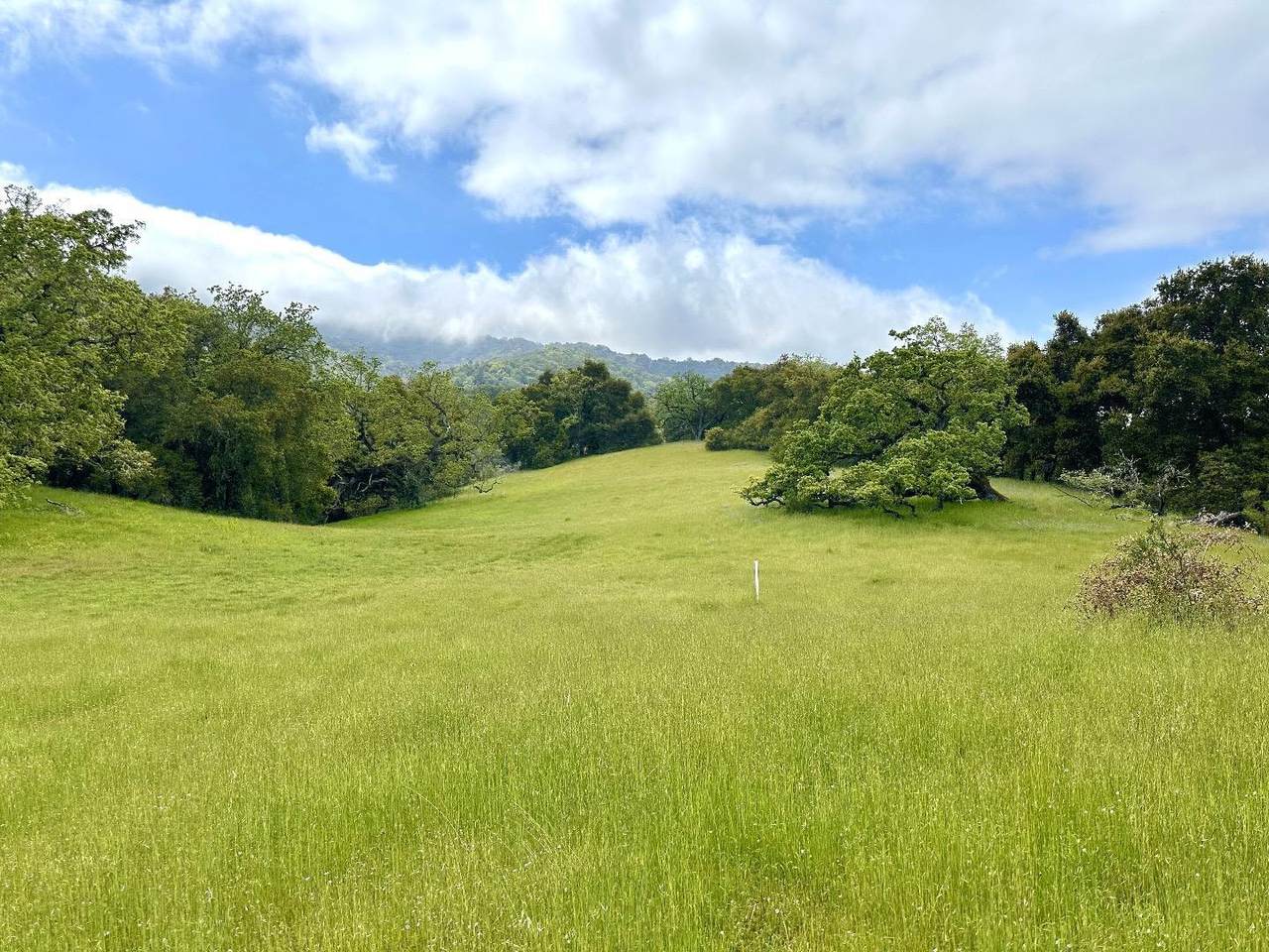 29 Arroyo Sequoia - Photo 1