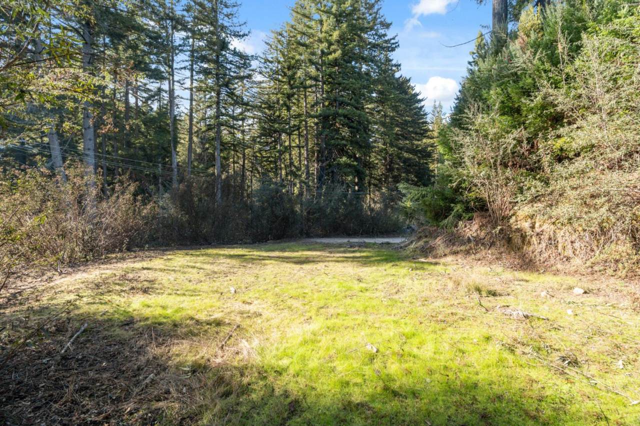 16470 Jamison Creek Rd - Photo 1