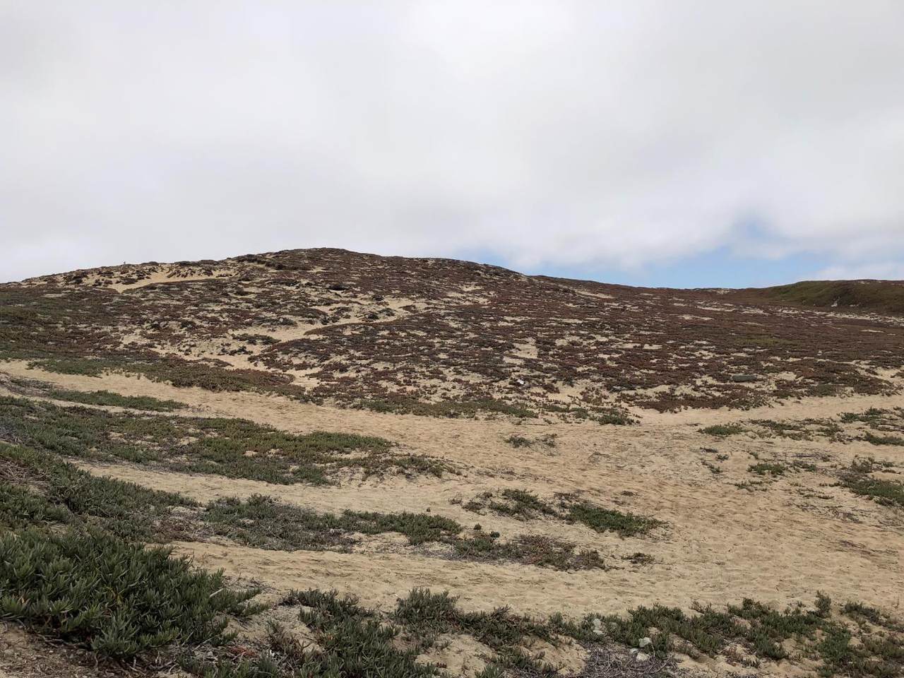 https://bt-photos.global.ssl.fastly.net/siliconv/orig_boomver_1_82030096-2.jpg