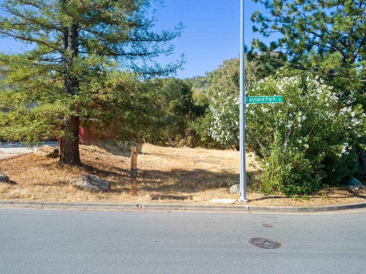 000 Box Canyon - Photo 1