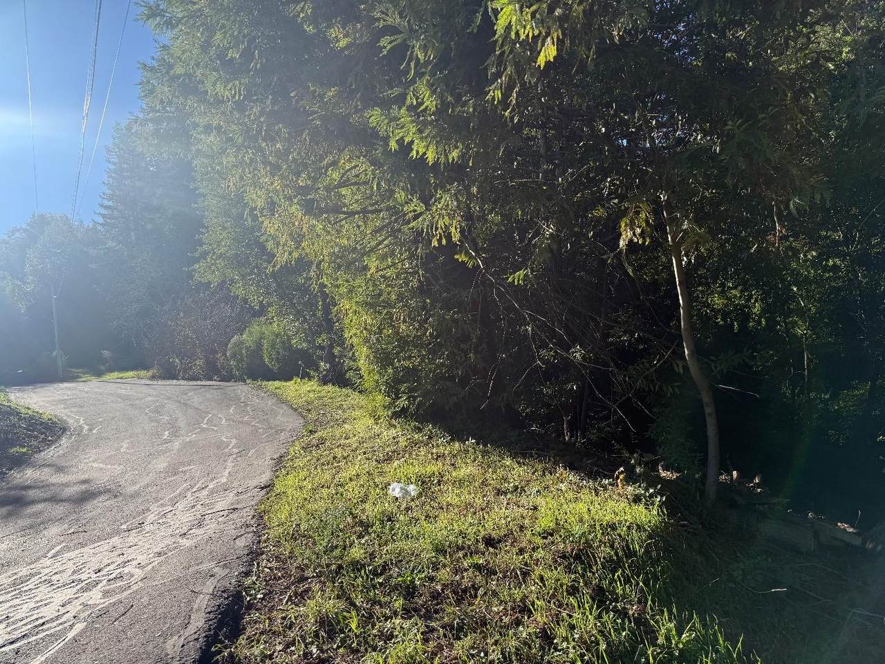 20525 Iron Springs Rd - Photo 1