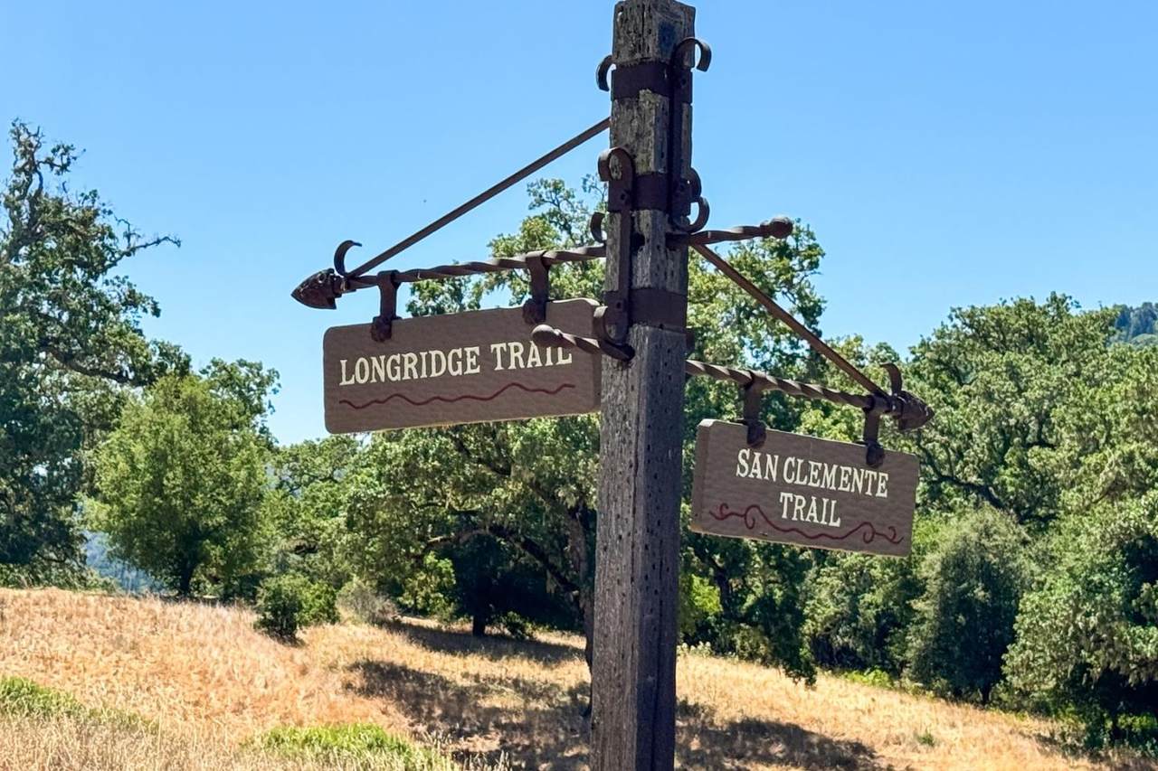 28 Long Ridge Trail - Photo 1
