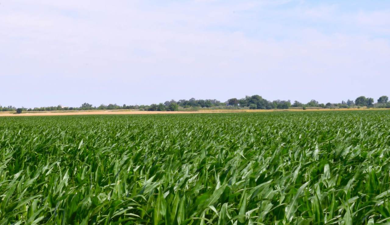 16071 Tyler Island Rd - Photo 1