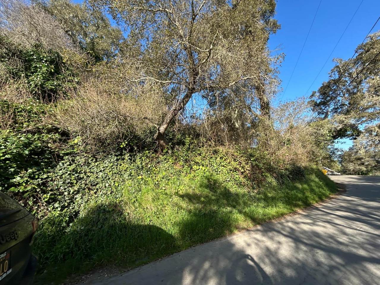 0 Loma Prieta Dr - Photo 1