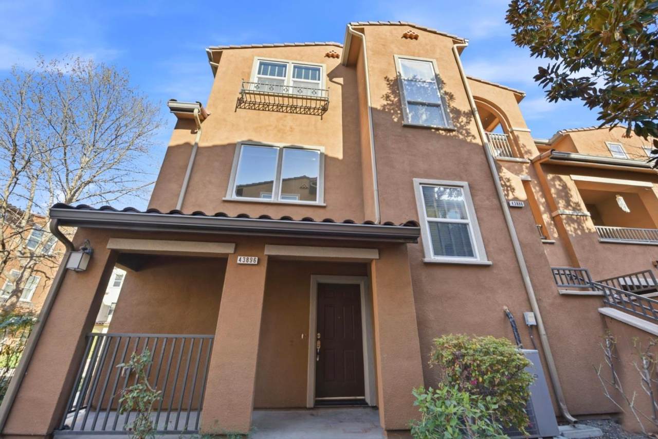 43896 Paso Pino Cmn - Photo 1
