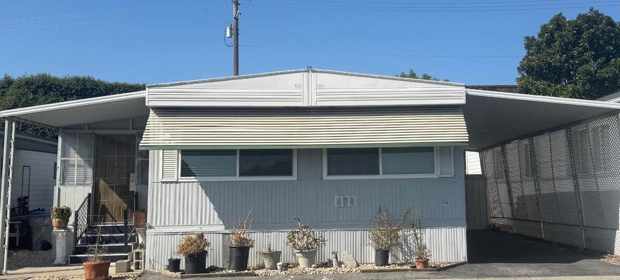 3300 Narvaez #2 Ave 2 - Photo 1