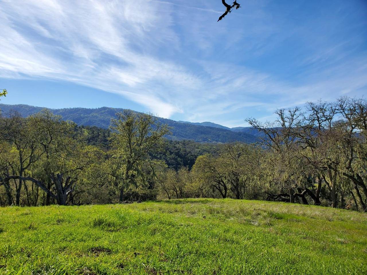 0 Cachagua Road - Photo 1