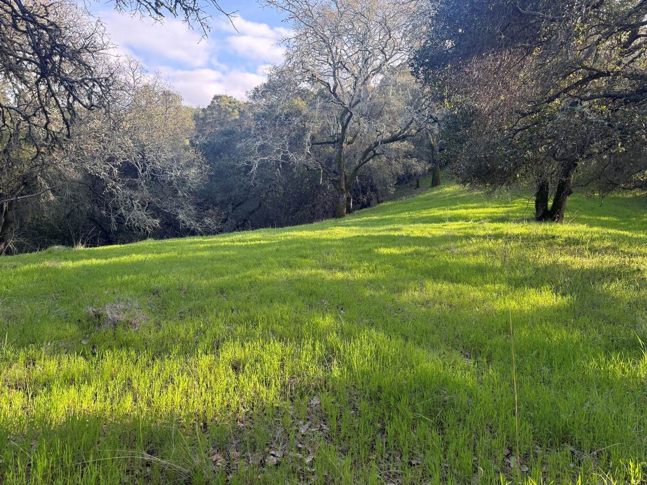 0 Chesbro Lake Dr - Photo 1