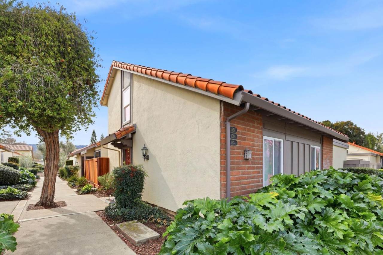 1558 Calle Enrique - Photo 1