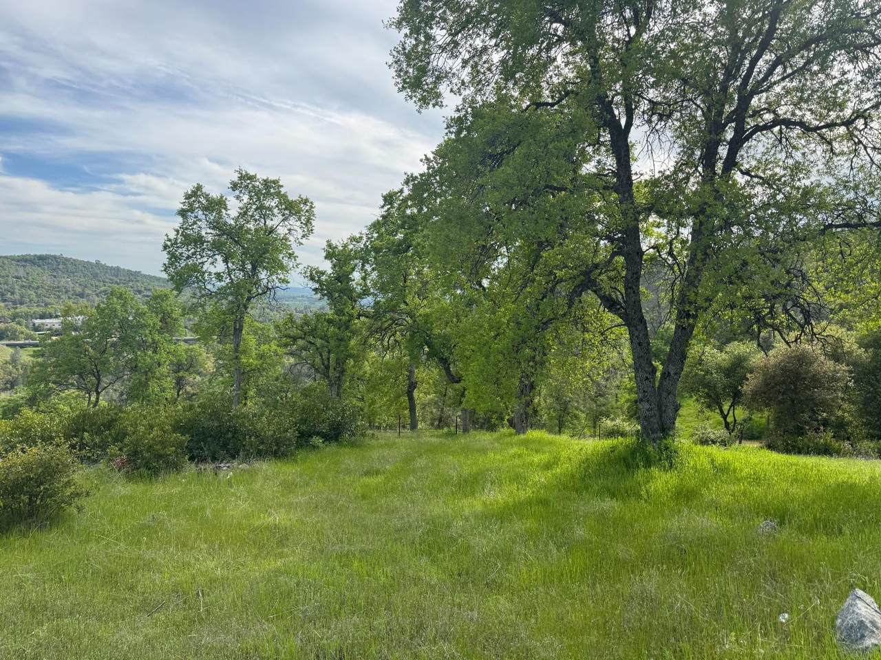 000 Cabezut Rd - Photo 1