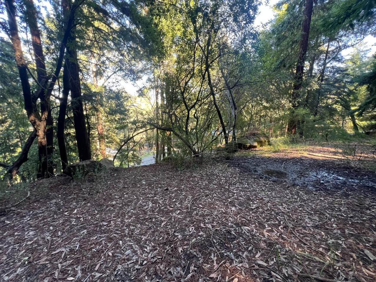 559 Patrol Rd - Photo 1